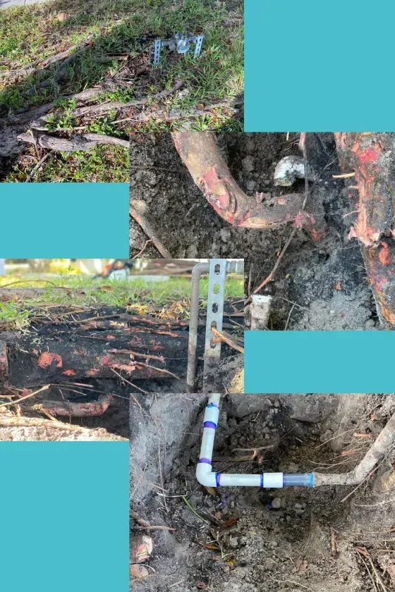 Collage of an outdoor pipe repair, from digging out tree roots to laying new PVC pipe in the trench